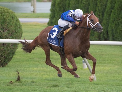 Qurbaan with jockey Joel Rosario wins the 61st running of the Bernard Baruch at the Saratoga Race Course Monday Sept. 2, 2019 in Saratoga Springs, N.Y.  Photo  by Skip Dickstein