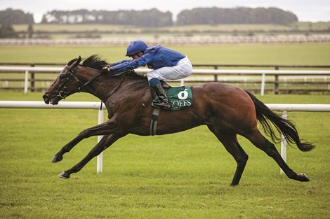 Pinatubo and William Buick annihilate the Goffs Vincent O’Brien National Stakes (Group 1) The Curragh. Photo: Patrick McCann/Racing Post 15.09.2019