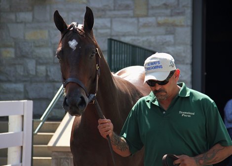 Hip 202 at 2019 Keeneland September Yearling Sale