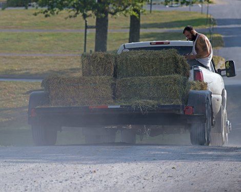 Weather scenes in Central Kentucky. Moving hay at Keeneland during sales. 