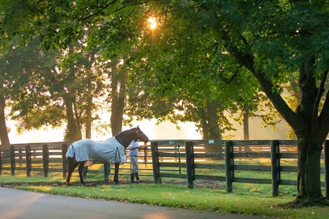 Spendthrift Farm 2019