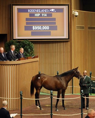 Hip 114,  2019 Keeneland September Yearling Sale