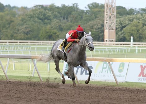 Welder wins the 2019 David M. Vance Stakes