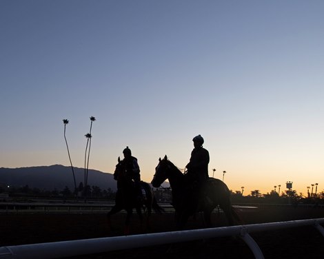 scene<br><br />
at  Oct. 28, 2019 Santa Anita in Arcadia, CA. 