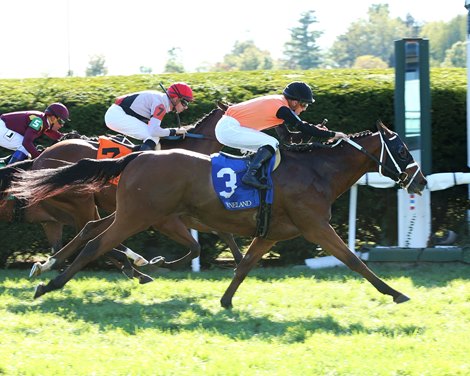 Fast Boat - ALW, Keeneland, October 12, 2019