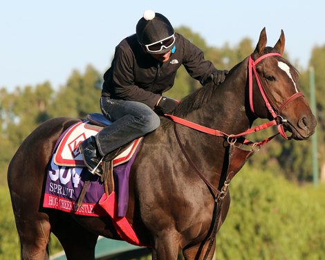 Hog Creek Hustle at Santa Anita Park on October 31, 2019