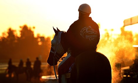 Breeders&#39; Cup 2019  Street Band and Trainer Larry Jones  &#169; Rick Samuels/The Blood-Horse