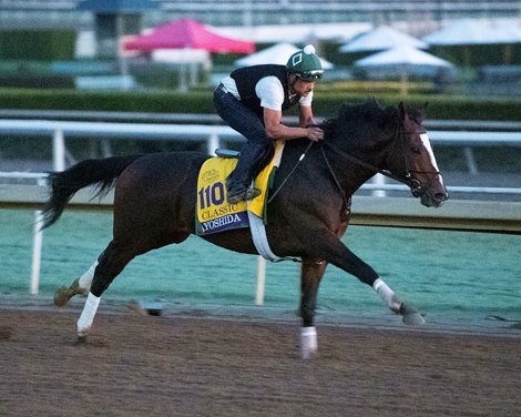 Yoshida<br><br />
at  Oct. 27, 2019 Santa Anita in Arcadia, CA. 