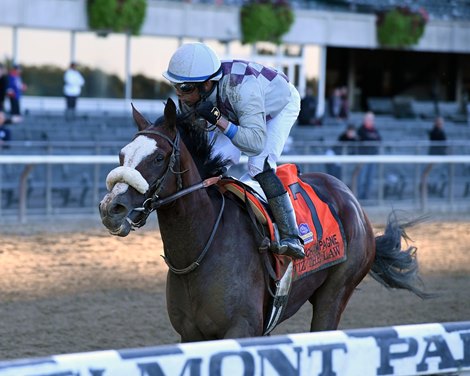 Tiz the Law wins the Champagne Stakes at Belmont Park 