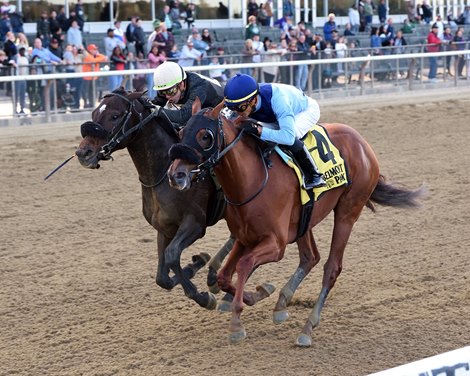 Captain Bombastic wins the 2019 Sleepy Hollow Stakes