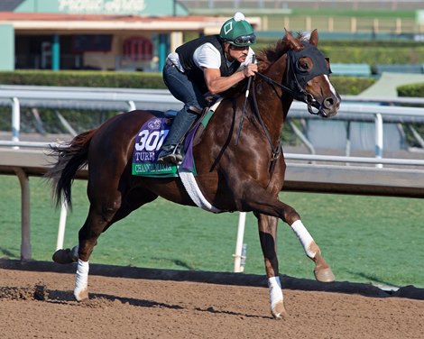 Channel Maker<br><br />
at  Oct. 27, 2019 Santa Anita in Arcadia, CA. 
