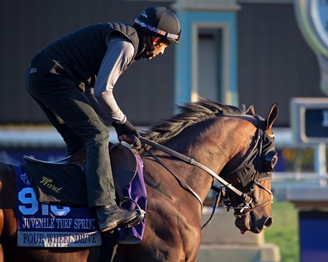 Four Wheel Drive<br><br />
at  Oct. 31, 2019 Santa Anita in Arcadia, CA. 