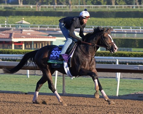 Bricks and Mortar<br><br />
at  Oct. 29, 2019 Santa Anita in Arcadia, CA. 