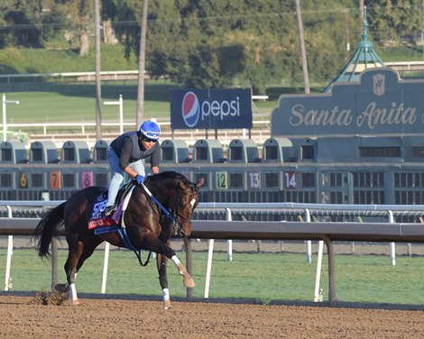 Mitole<br><br />
at  Oct. 29, 2019 Santa Anita in Arcadia, CA. 