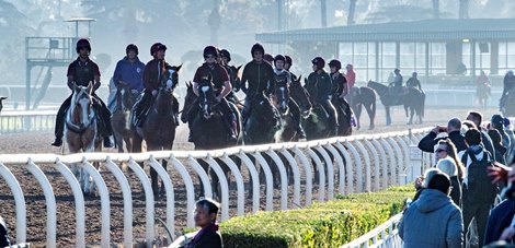 Aiden O’Brien’s charges out in force on their first day out on the Santa Anita Race Course Thursday October 31, 2019 in Arcadia, CA.  