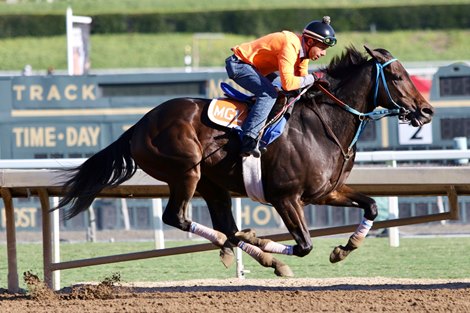 Mongolian Groom works at Santa Anita, 10-19-19