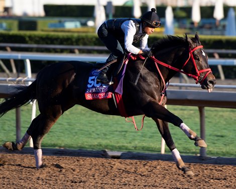 Shancelot Horses and scenes at  Oct. 26, 2019 Santa Anita in Arcadia, CA. 