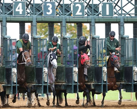 Scenics - Keeneland - 102519