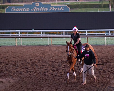 Got Stormy<br><br />
at  Oct. 28, 2019 Santa Anita in Arcadia, CA. 