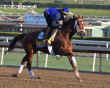 Vino Rosso<br><br />
at  Oct. 29, 2019 Santa Anita in Arcadia, CA. 