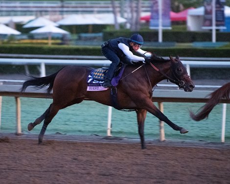 Bast at  Oct. 27, 2019 Santa Anita in Arcadia, CA. 
