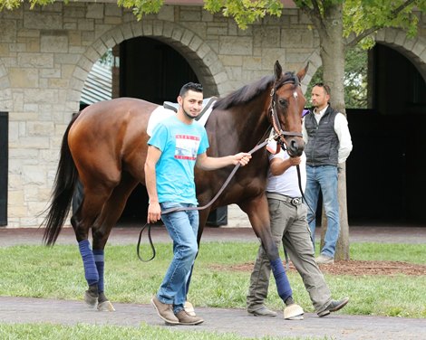 Cambier Parc - Schooling - Keeneland - 101119