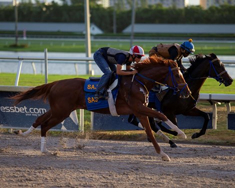 Math Wizard - Gulfstream Park - October 26, 2019 
