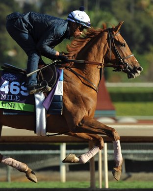 Breeders&#39; Cup 2019 Uni...