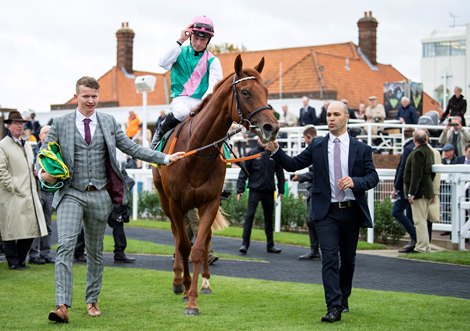 Quadrilateral (Jason Watson) after winning the Fillies Mile at Newmarket 11.10.19