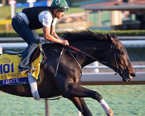 Elate<br><br />
at  Oct. 27, 2019 Santa Anita in Arcadia, CA. 