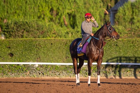 Ollie&#39;s Candy - Santa Anita, October 26, 2019
