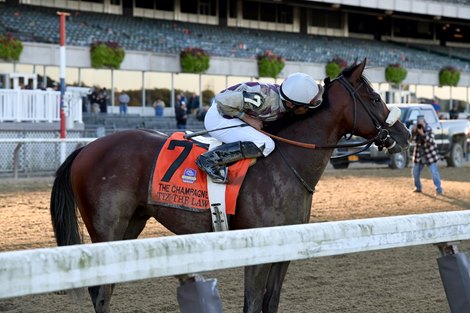 Tiz the Law wins the Champagne Stakes at Belmont Park