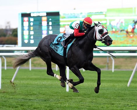 Buy Land and See wins the 2019 Awad Stakes at Belmont Park