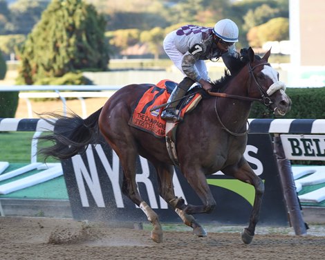 Tiz the Law wins the Champagne Stakes at Belmont Park                       