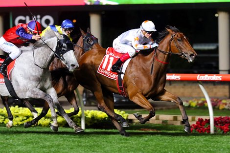 Loving Gaby wins the 2019 Manikato Stakes