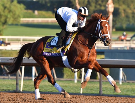 Breeders&#39; Cup 2019 Vino Rosso