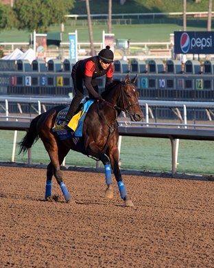 McKinzie<br><br />
at  Oct. 27, 2019 Santa Anita in Arcadia, CA. 