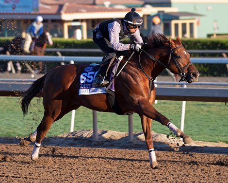 Giant Expectations Horses and scenes at  Oct. 26, 2019 Santa Anita in Arcadia, CA. 