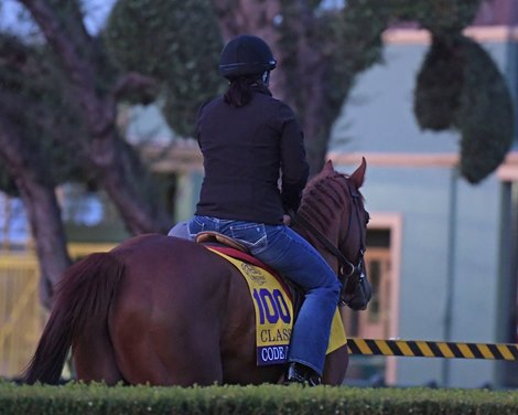 Code of Honor<br><br />
at  Oct. 29, 2019 Santa Anita in Arcadia, CA. 