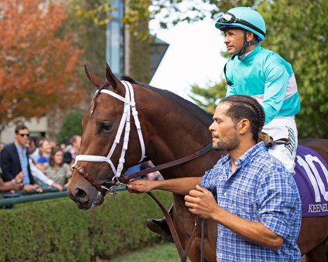 Mr. Monomoy  at Keeneland on Oct. 19, 2019 Keeneland in Lexington, Ky. 