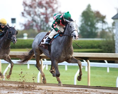 Liam&#39;s Legend - Maiden Win, Keeneland, October 26, 2019