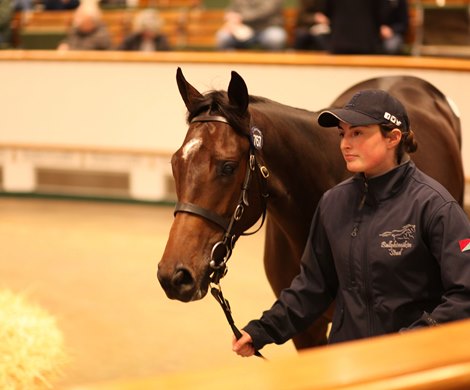 Lot 767 Dark Angel (IRE) / Allez Alaia (IRE) B.F. (IRE) Ballyhimikin Stud, Ireland Shadwell Estate Company 1,050,000 Tattersalls October Book 2 2019 14/10/19 Lot 767 Dark Angel (IRE) / Allez Alaia (IRE) B.F. (IRE) Ballyhimikin Stud, Ireland Shadwell Estate Company 1,050,000 Tattersalls October Book 2 2019 14/10/19