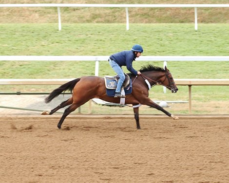 Abscond - Work - Keeneland - 102519