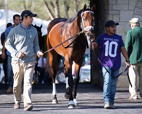 Mr. Monomoy at Keeneland on Oct. 19, 2019 Keeneland in Lexington, Ky. 