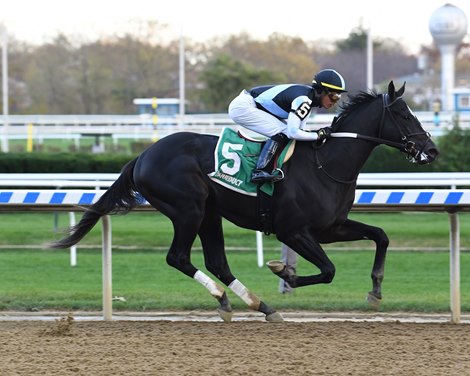 Independence Hall wins the Nashua Stakes at Aqueduct Sunday, November 3, 2019