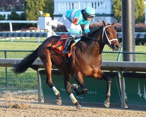 Mr. Monomoy wins 2019 Maiden at Churchill Downs