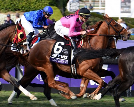 Got Stormy during the running of the 2019 Breeders&#39; Cup Mile