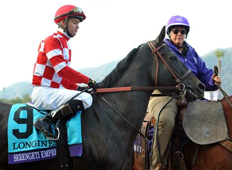 November 2, 2019, Breeders&#39; Cup Saturday Serengeti Empress, Flavien Pratt up. Third place in the Distaff...