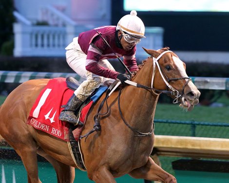 Finite wins the 2019 Golden Rod Stakes at Churchill Downs