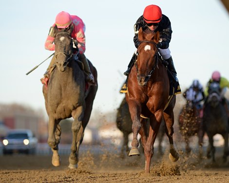 Performer wins the 2019 Discovery at Aqueduct